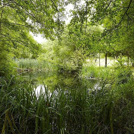 Вилла Un Petit Coin De Campagne Dans Le Pays De Saint-Gilles Экстерьер фото