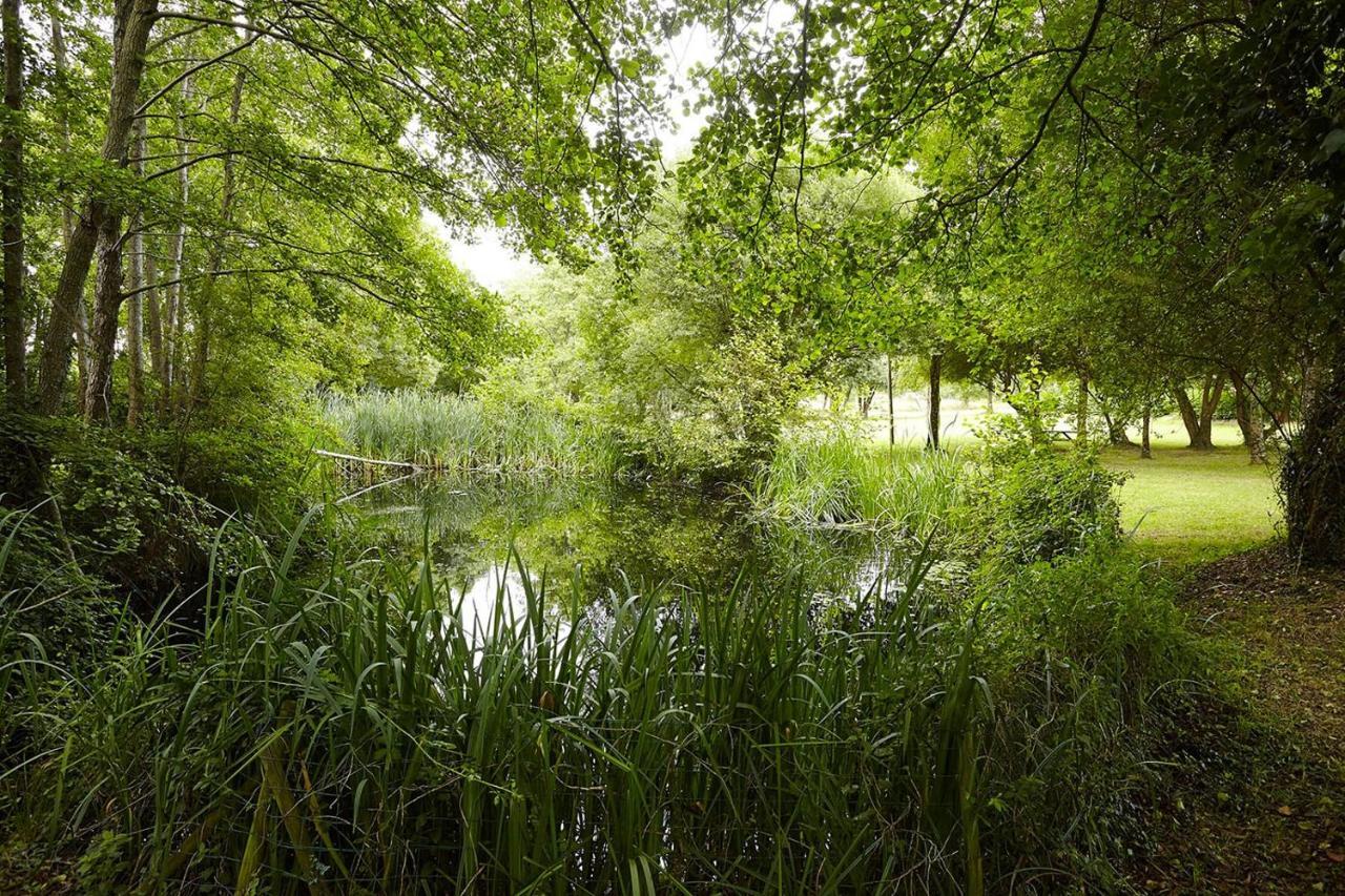 Вилла Un Petit Coin De Campagne Dans Le Pays De Saint-Gilles Экстерьер фото